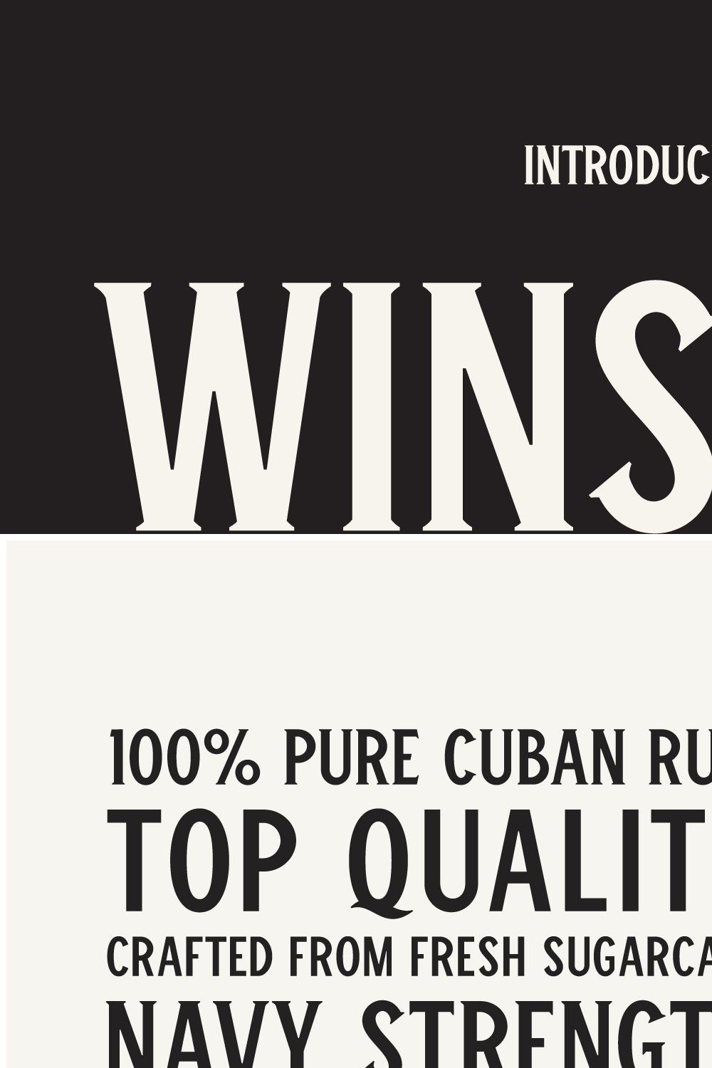Winston Typeface pinterest preview image.