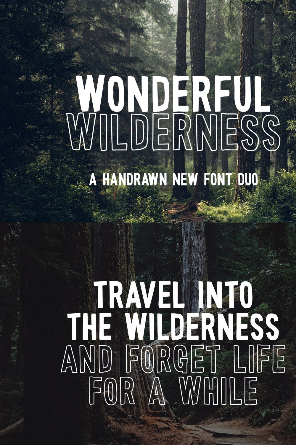 Wonderful Wilderness Font Duo pinterest preview image.