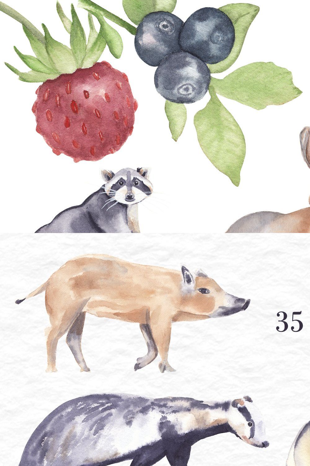 Woodland animals-watercolor clipart pinterest preview image.
