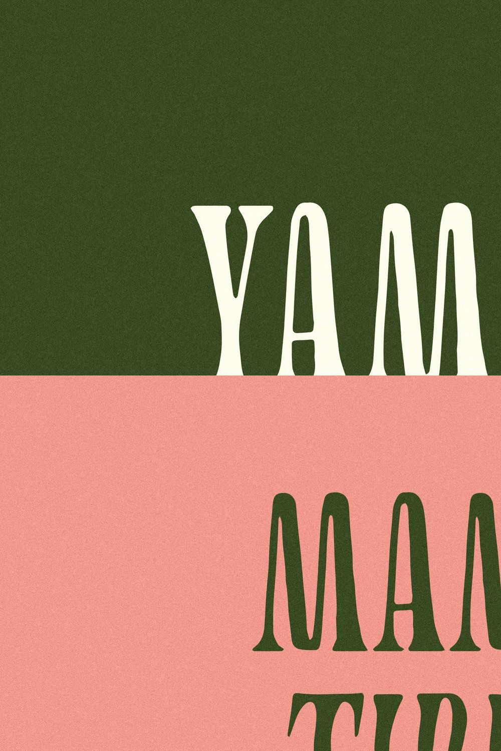Yamas | A Soft Modern Serif Font pinterest preview image.