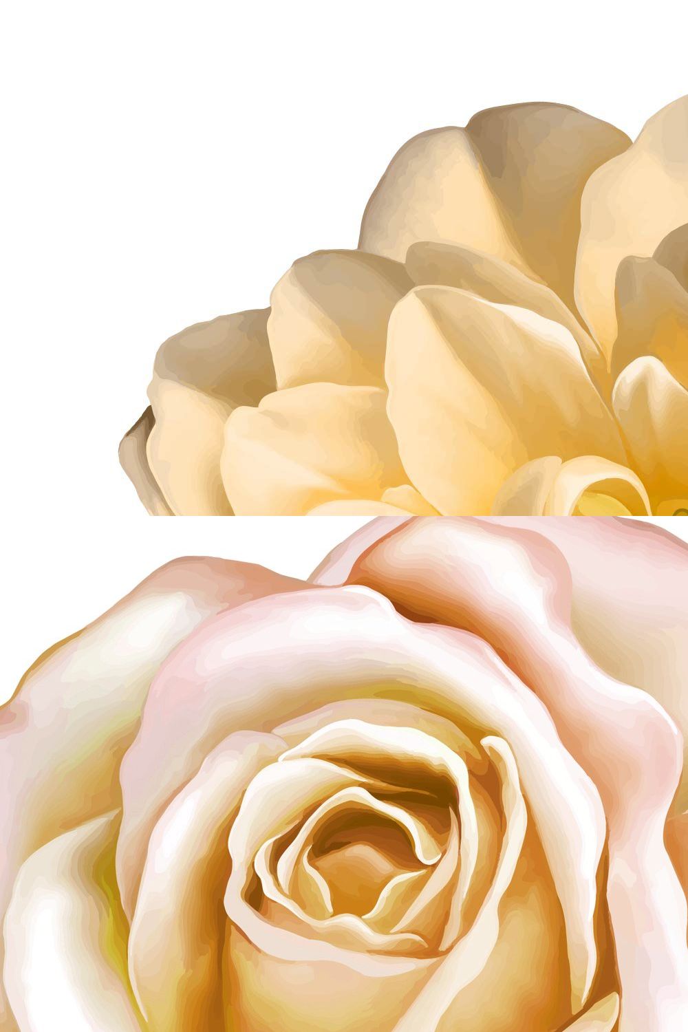 Yellow Camellia, Rose,Daffodil pinterest preview image.