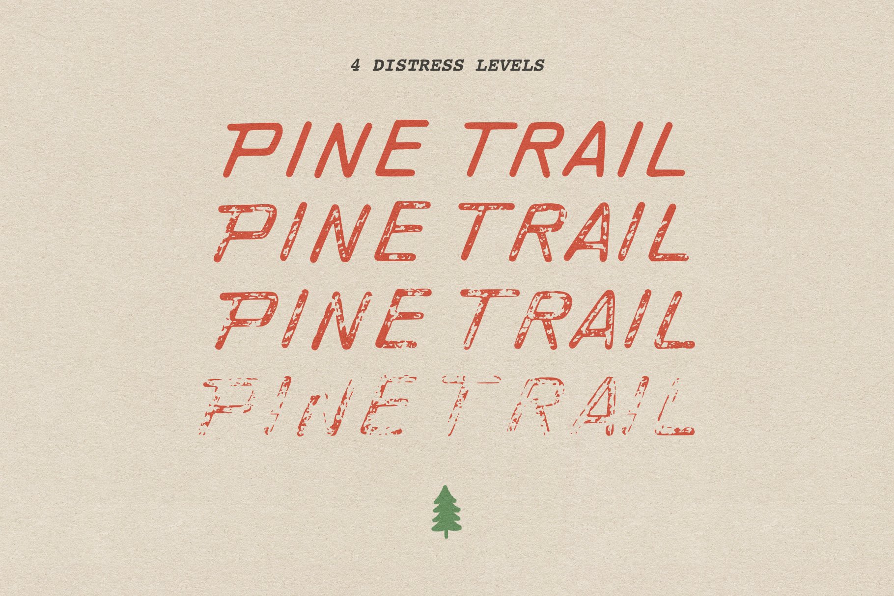Pine Trail | Vintage Inspired Font preview image.