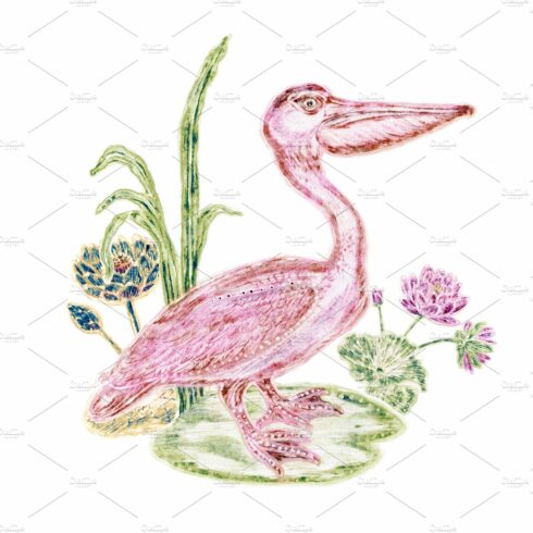 Pink Pelican with Lotuses around cover image.