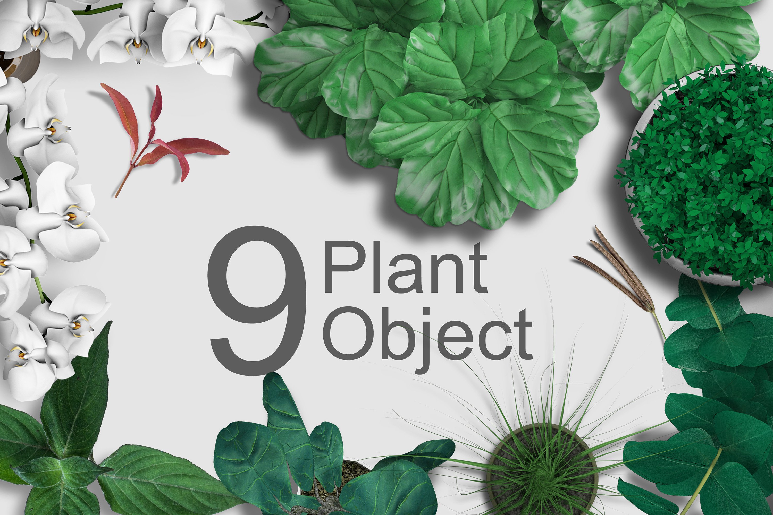 plant object 735