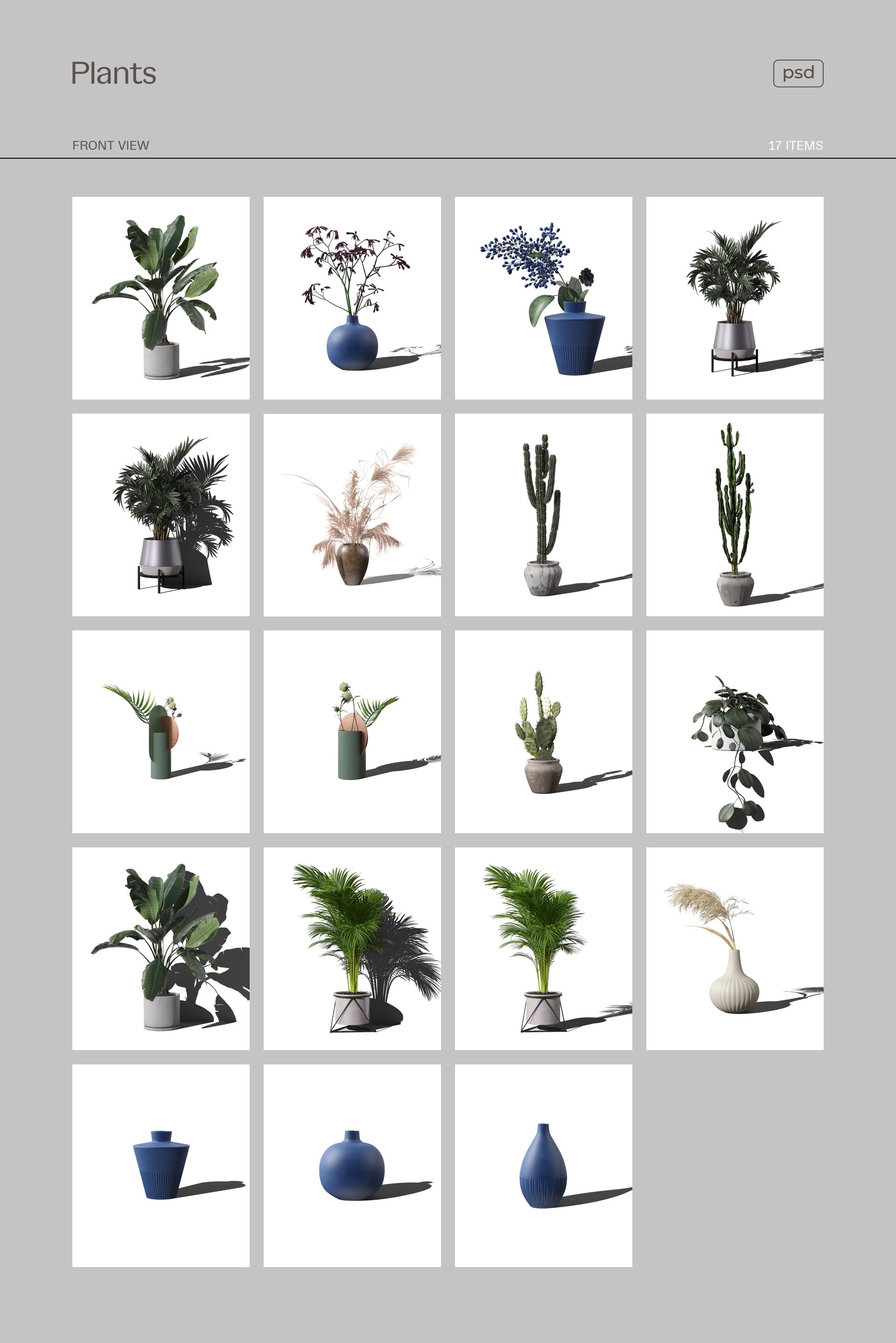 plants 146