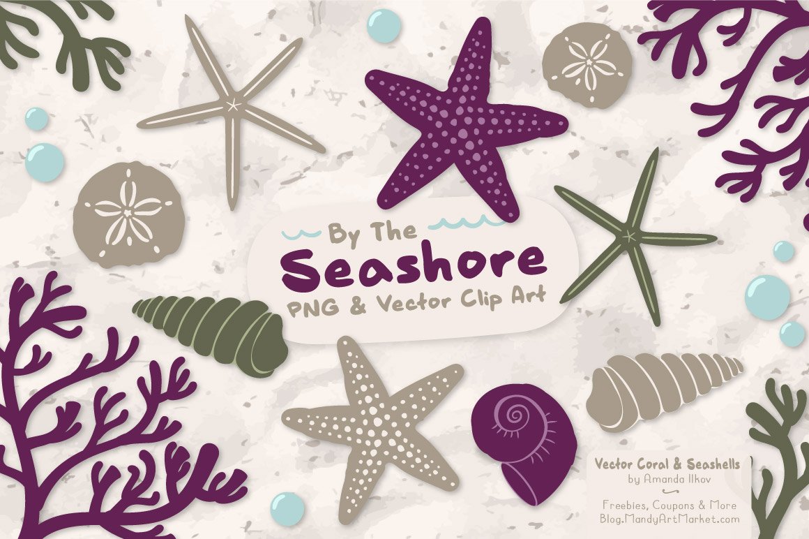 Plum Vector Seashells cover image.