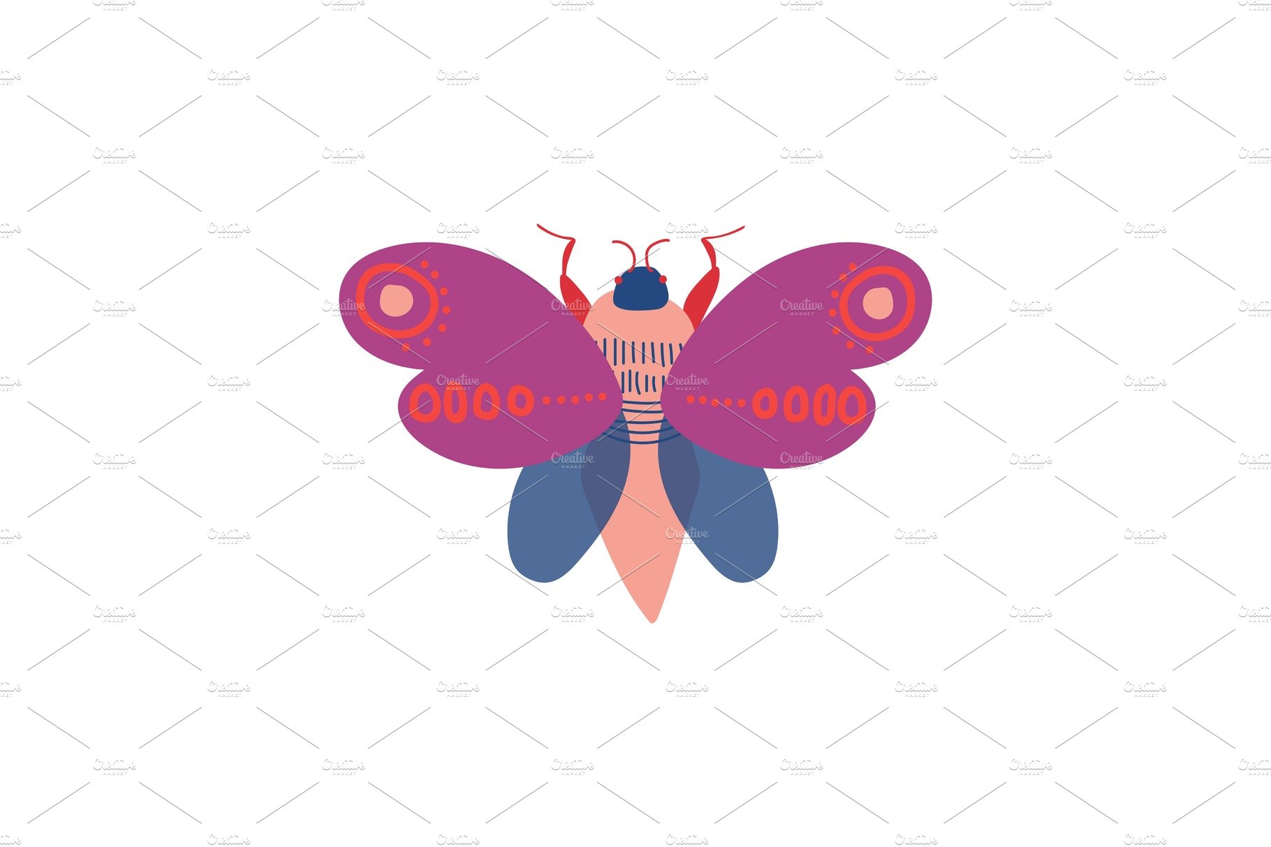 Cute Colorful Moth Insect, Top View cover image.