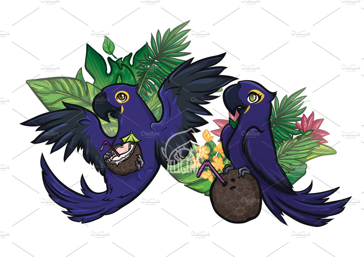 Blue macaws cover image.