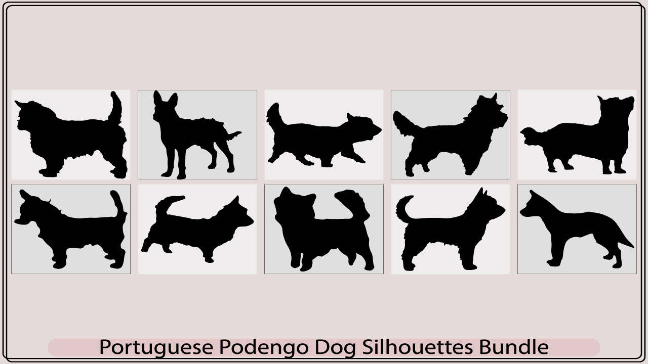 portuguese podengo dog silhouettemb add media 645