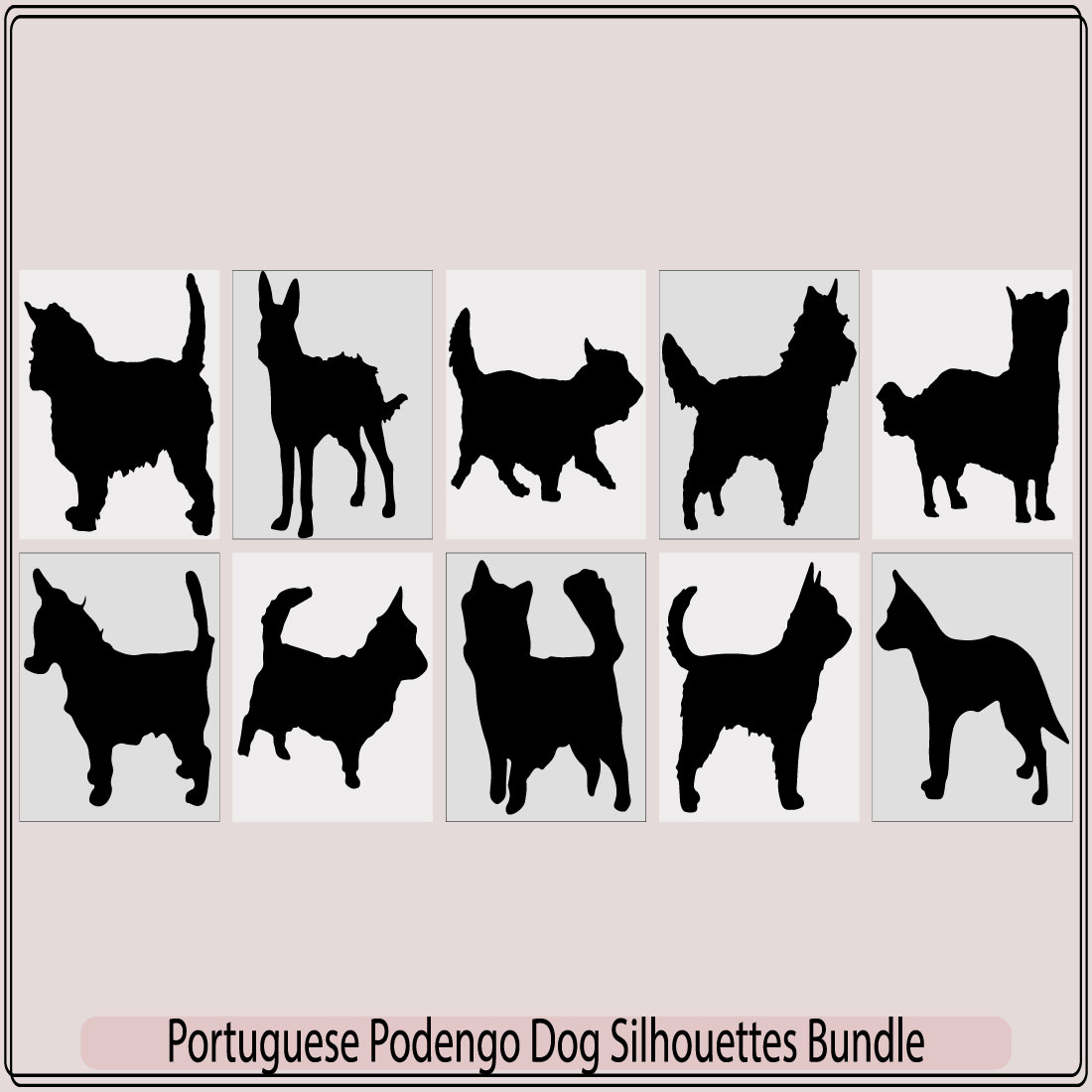 portuguese podengo pequeno Dog silhouette,Colorful decorative portrait of standing in profile Wire Coat Portuguese Podengo,Decorative portrait of standing in profile Wire Coat Portuguese Podengo preview image.