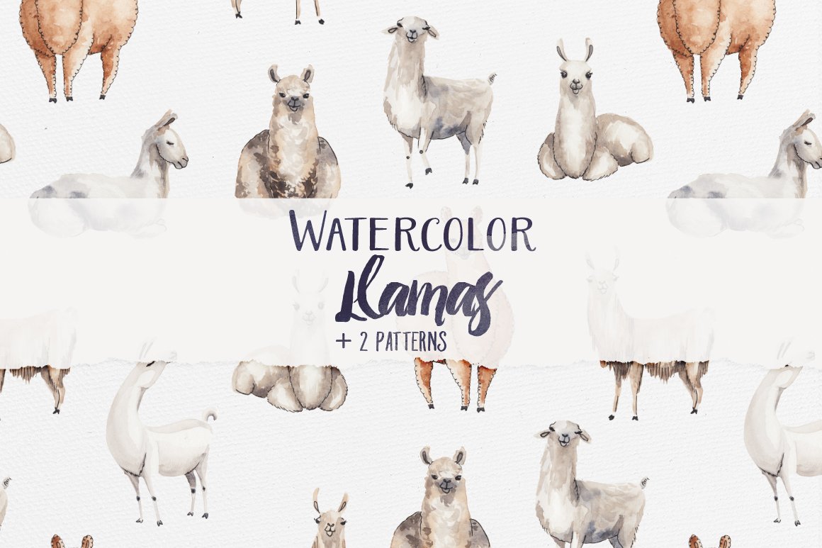 Watercolor Llamas + 2 Patterns cover image.