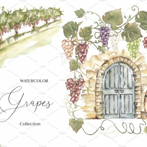 Watercolor Grapes Collection cover image.