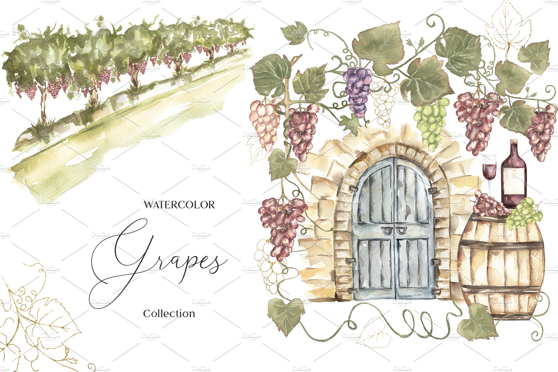 Watercolor Grapes Collection cover image.