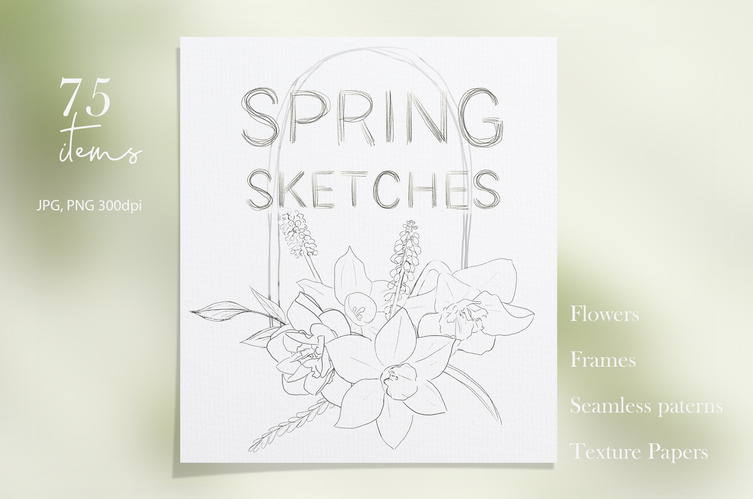 Pencil Sketches of Spring Flowers cover image.