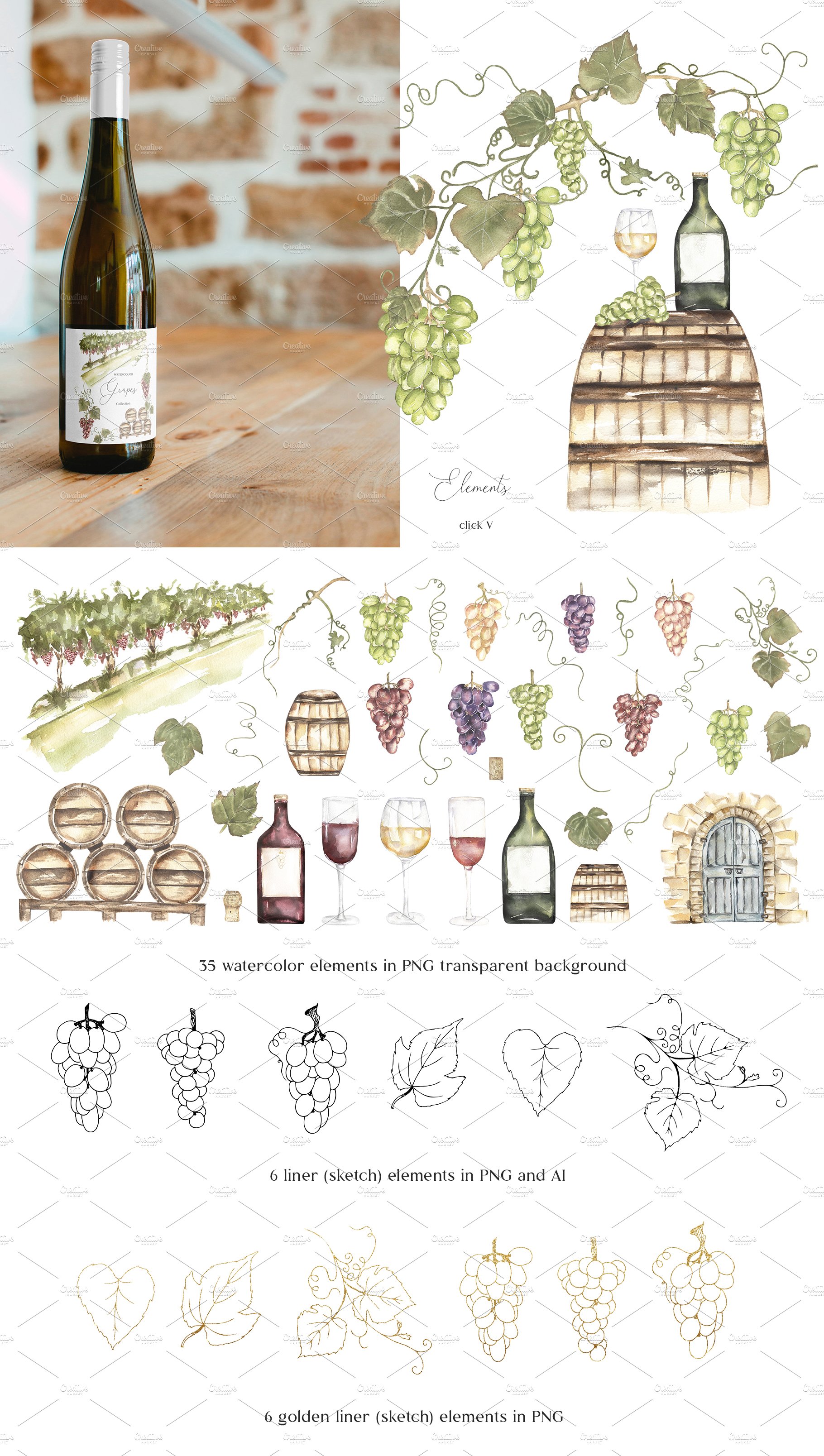 Watercolor Grapes Collection preview image.