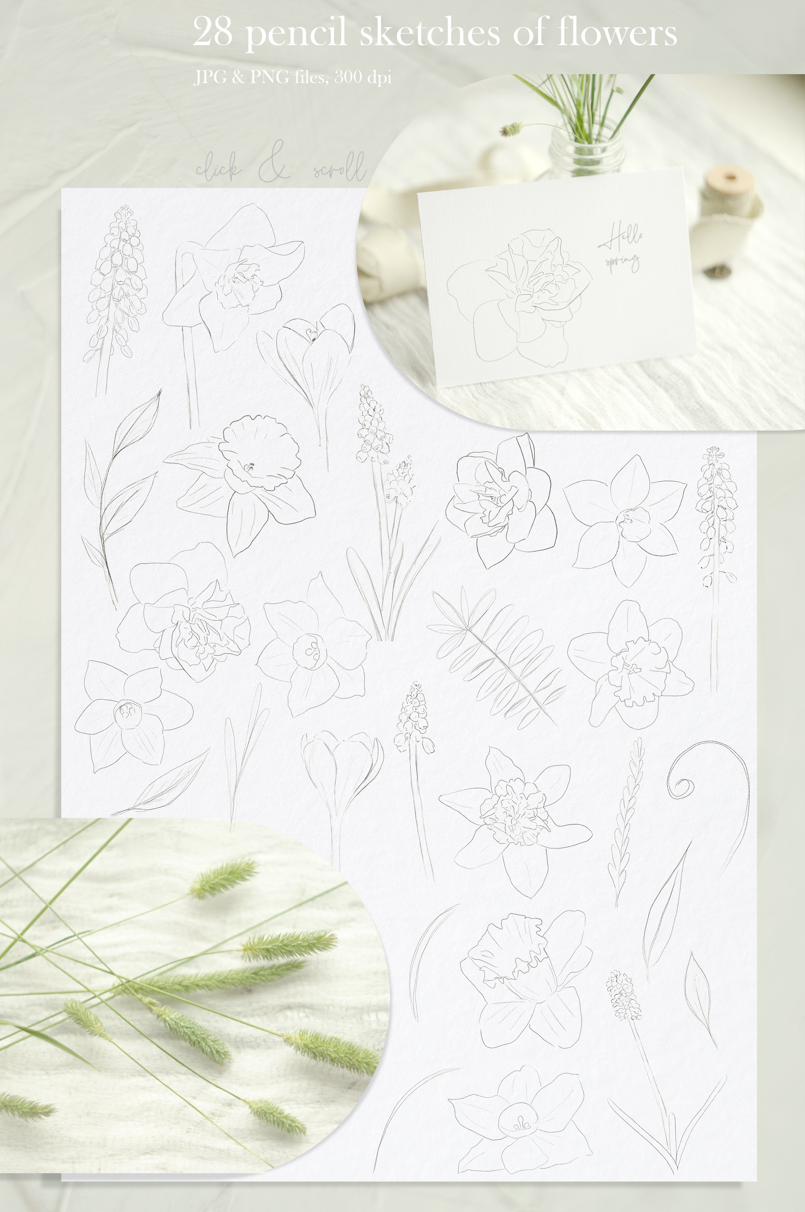 Pencil Sketches of Spring Flowers preview image.