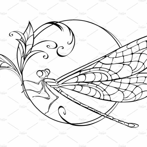 Sitting dragonfly in circle cover image.