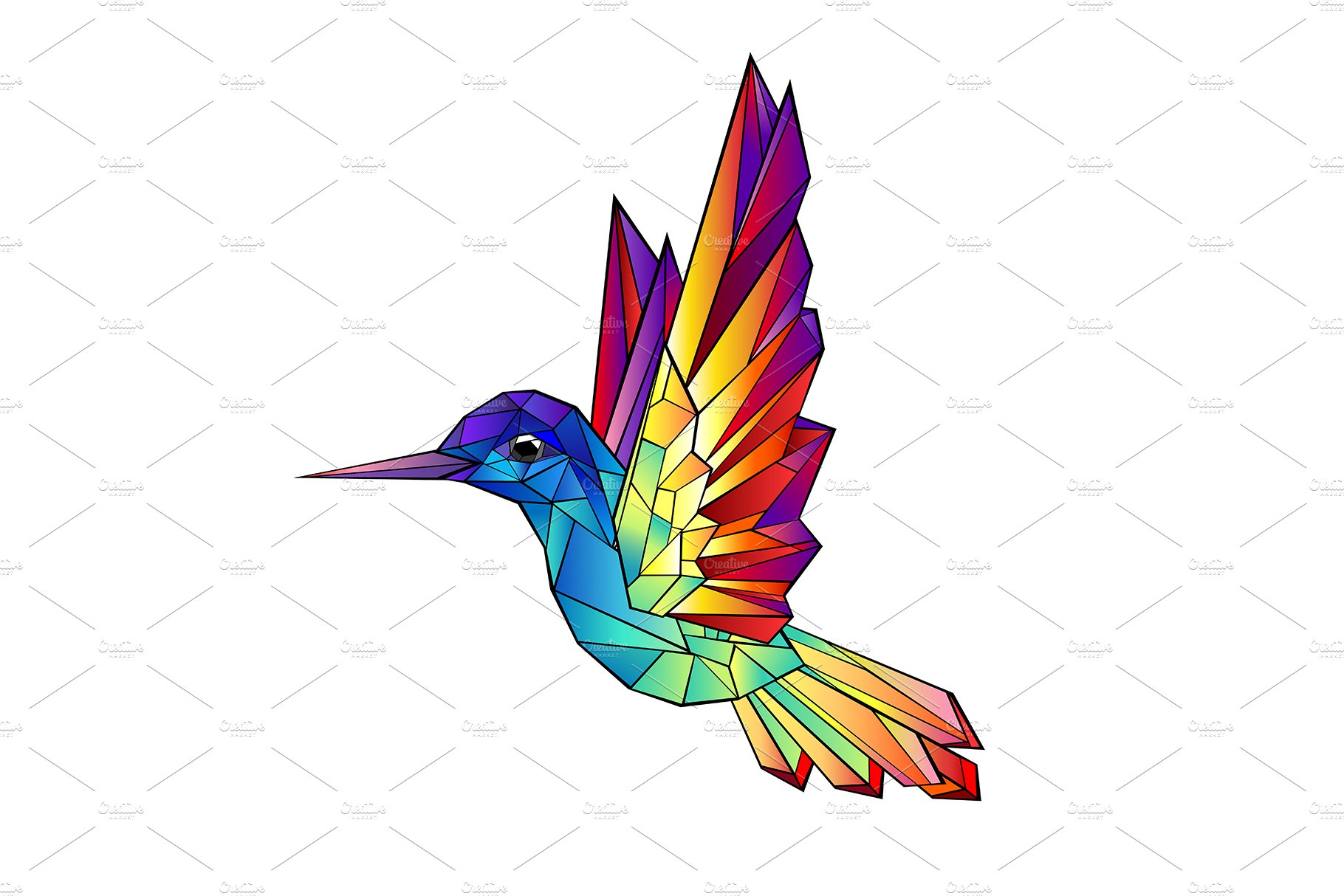 Rainbow Hummingbird cover image.