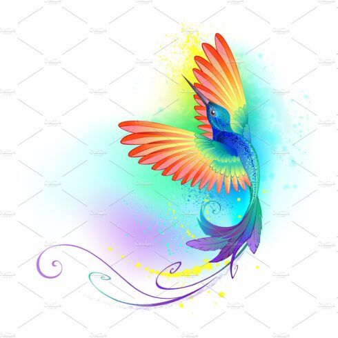 Splendid Rainbow Hummingbird cover image.
