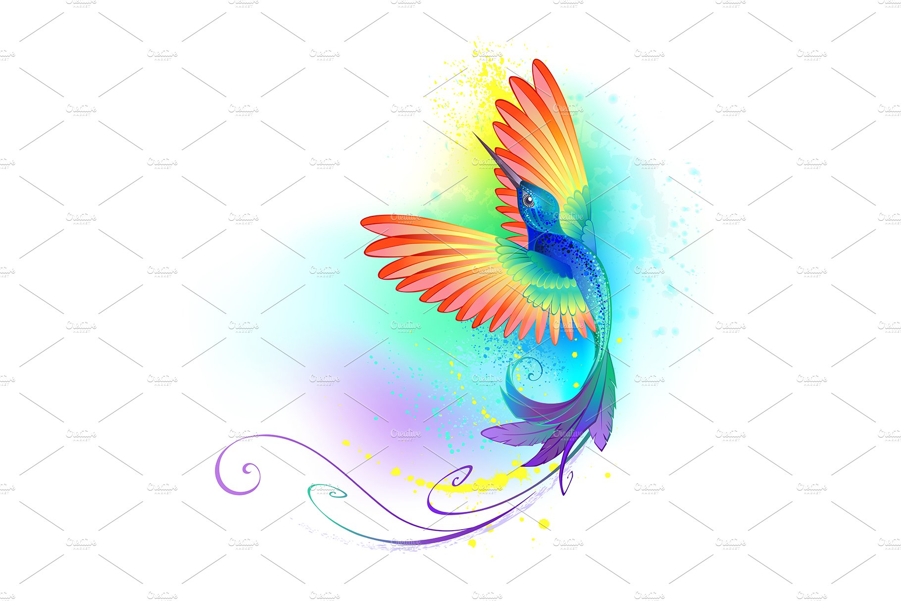 Splendid Rainbow Hummingbird cover image.