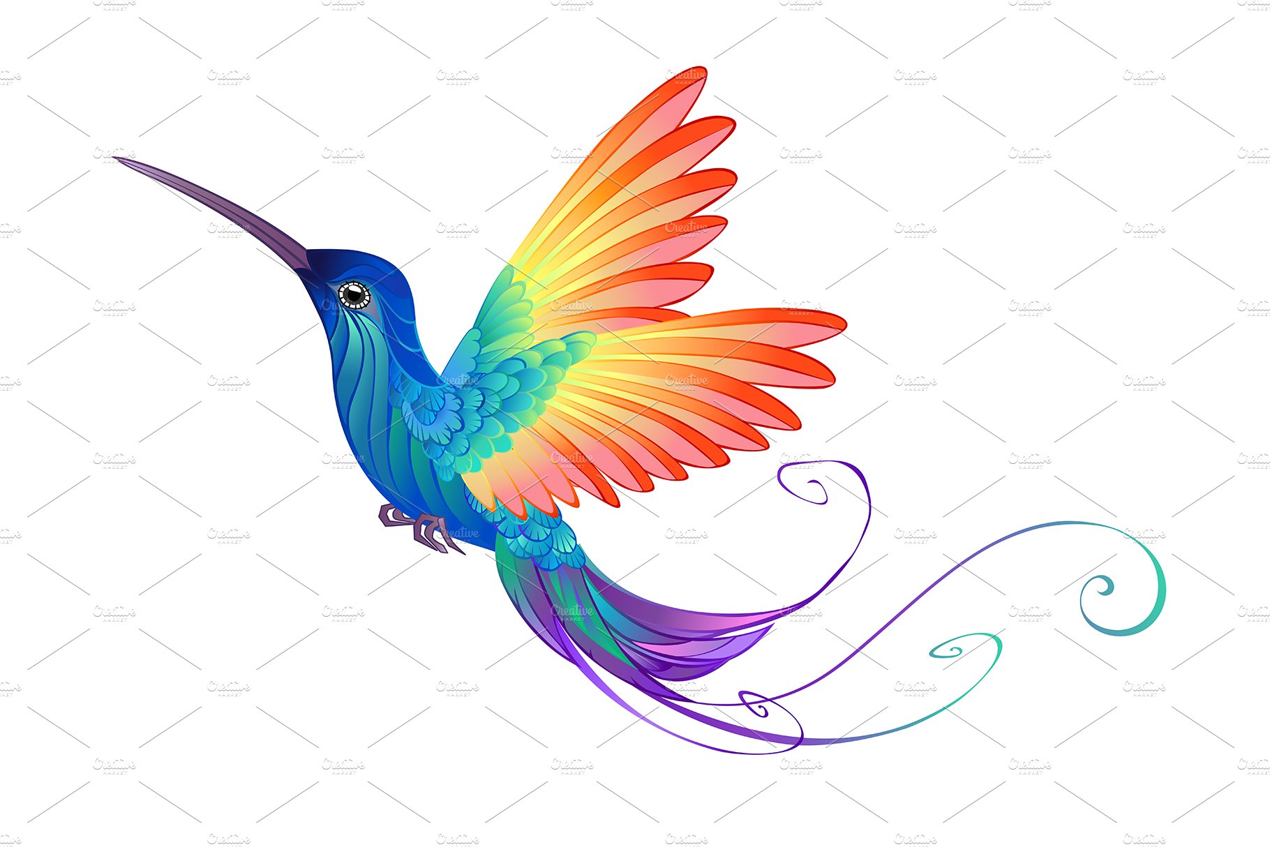 Bright Rainbow Hummingbird cover image.