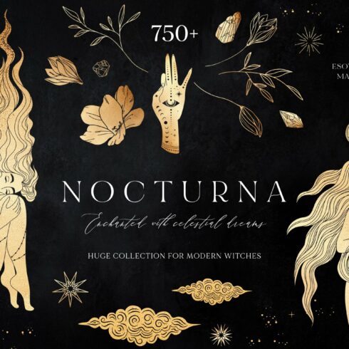 NOCTURNA Hidden Secrets Collection cover image.