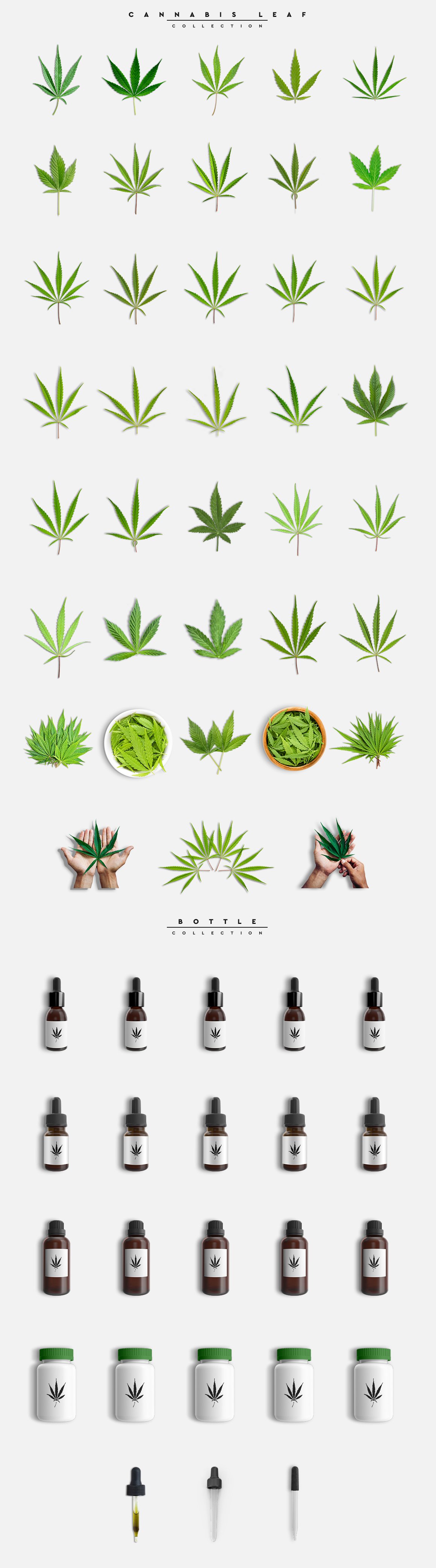 Cannabis Scene Creator #01 preview image.