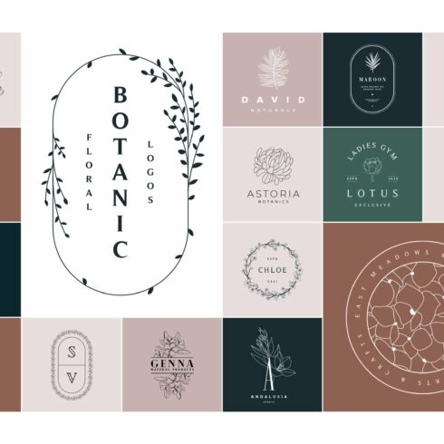 50 Botanical Floral Logos cover image.