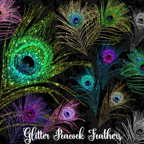 Glitter Peacock Feather Clipart cover image.