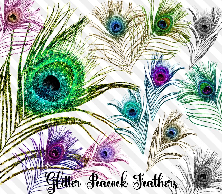 Glitter Peacock Feather Clipart preview image.