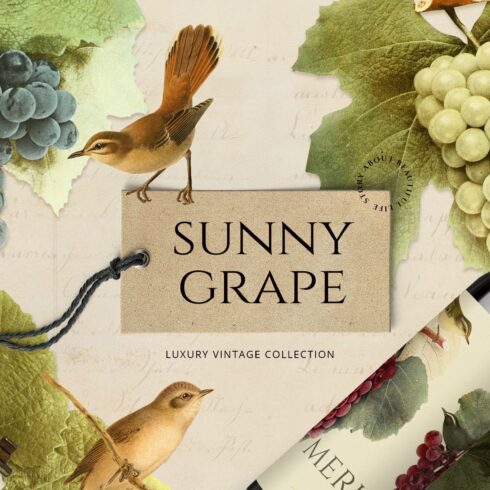 Sunny Grape - luxury vintage set cover image.