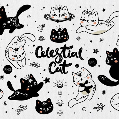 Celestial Cat illustration cover image.