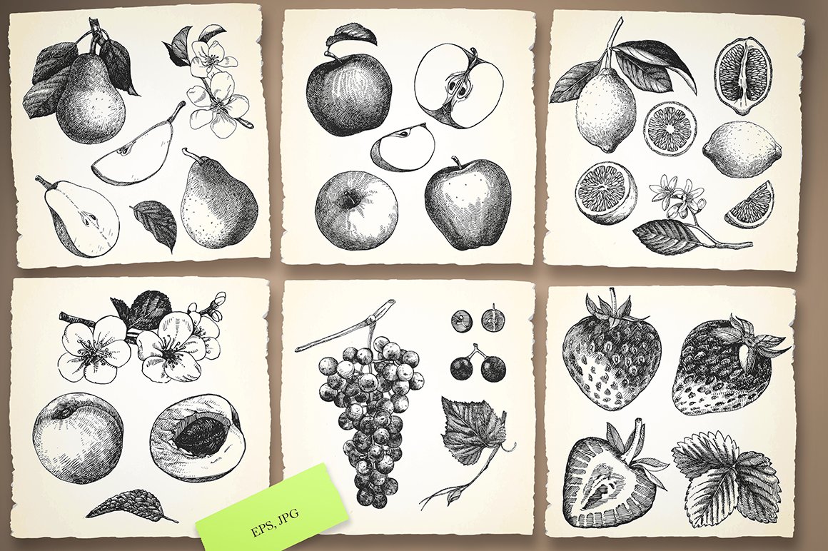 Fruit Collection / part 1 preview image.