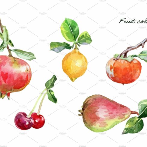 Watercolor fruit collection cover image.