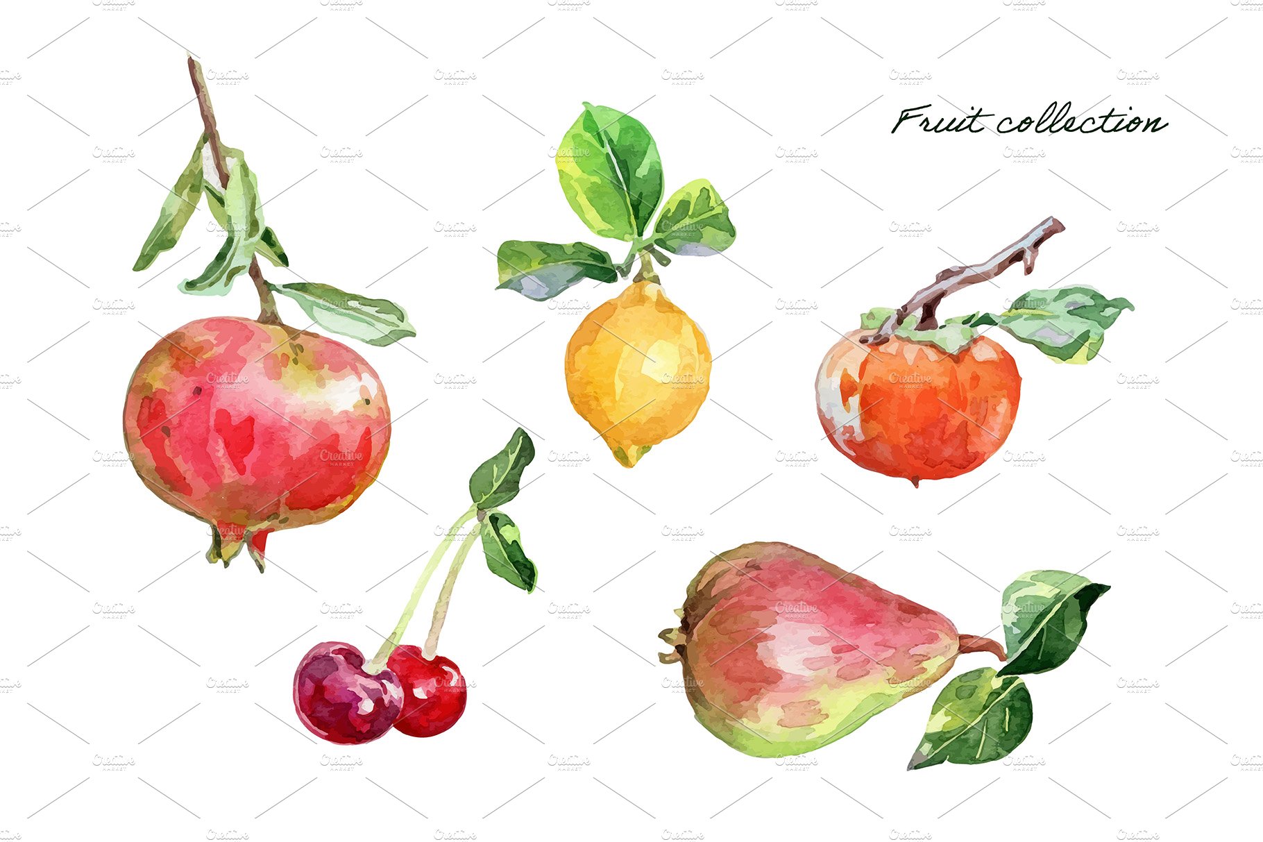 Watercolor fruit collection cover image.