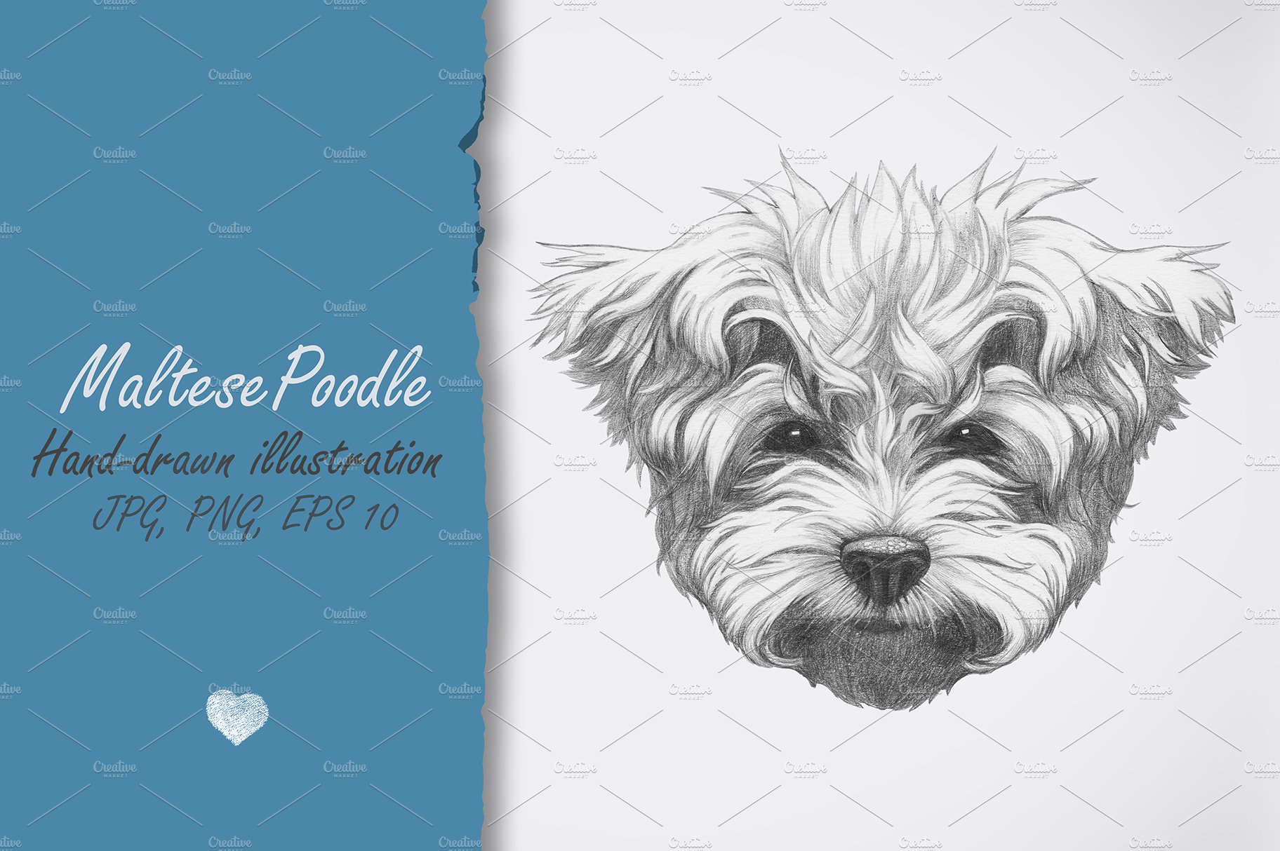 Maltese Poodle // Glasses preview image.