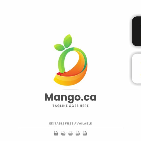 Mango Colorful Logo cover image.