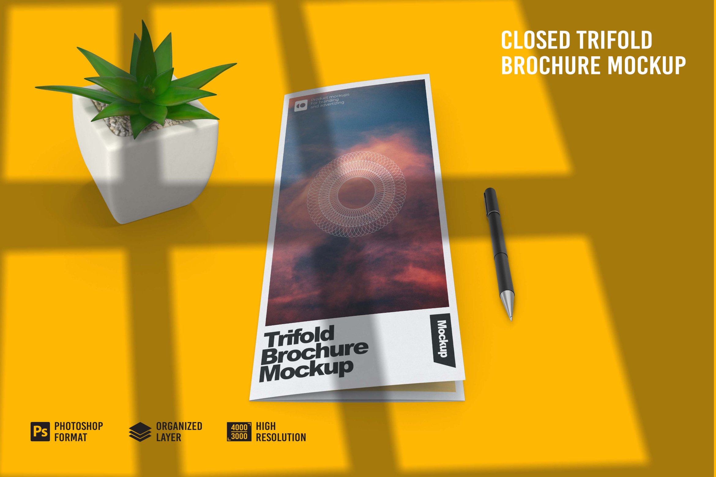 Closed Trifold Brochure Mockup cover image.