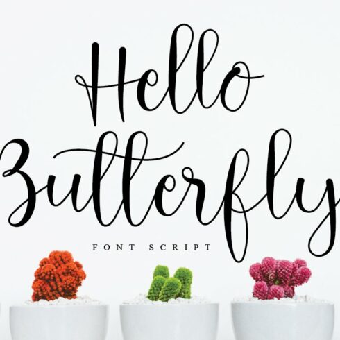 Hello Butterfly Font Script cover image.