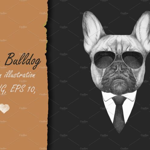 French Bulldog in Suit / Decor cover image.