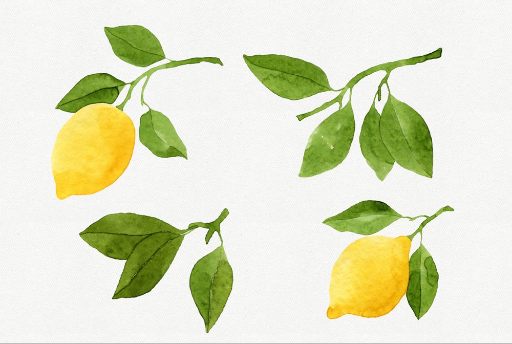 Watercolor Lemons Set preview image.