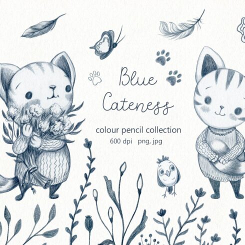 Blue Cateness - color pencil set cover image.