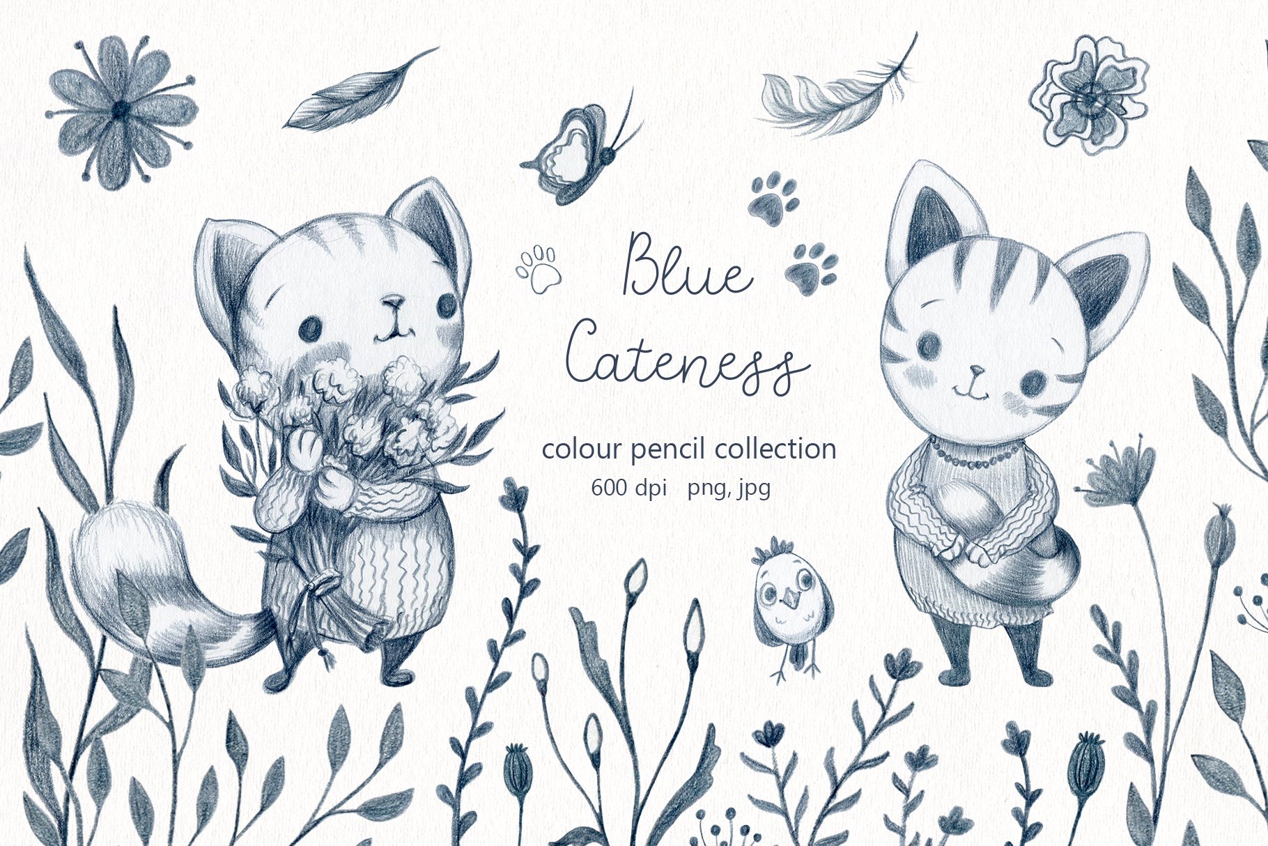 Blue Cateness - color pencil set cover image.