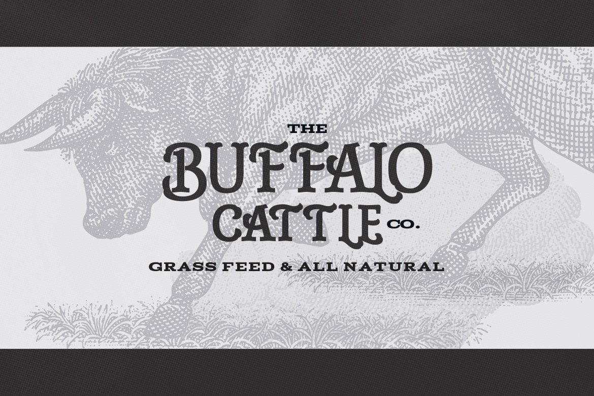 Angry Buffalo Engraving Logo preview image.