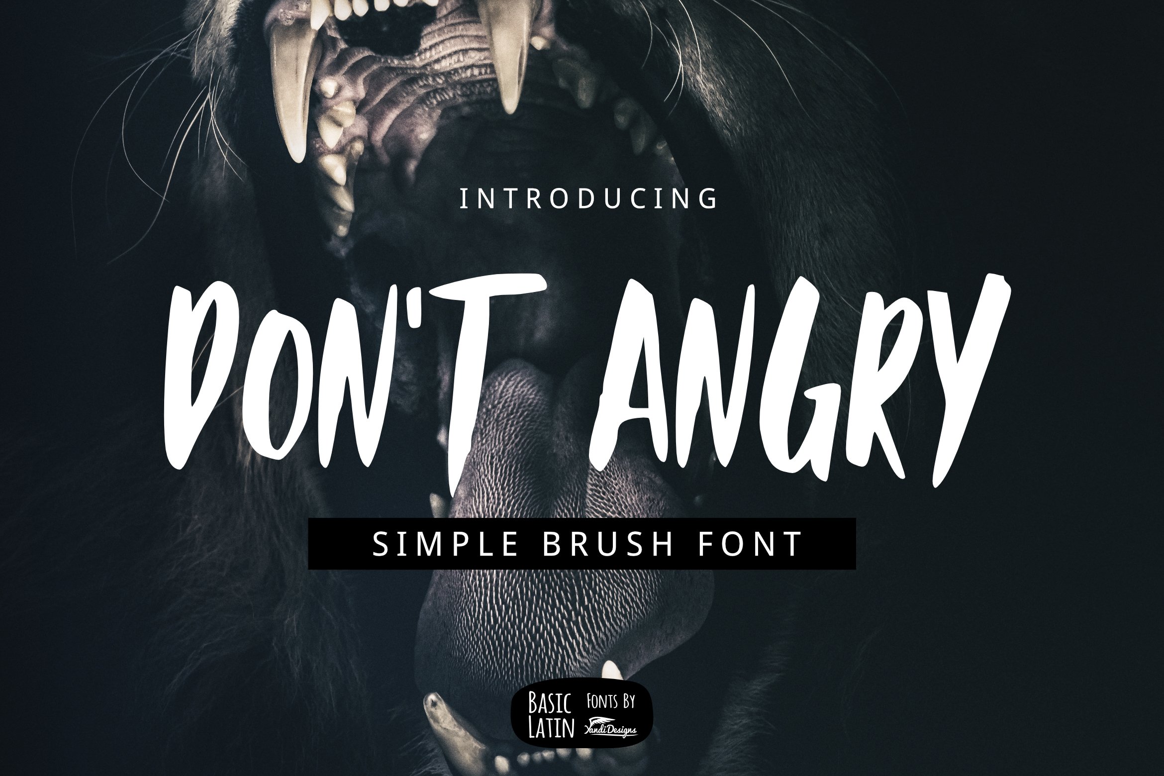 Don't Angry Font cover image.