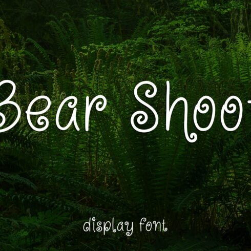 Bear Shoot - Fantasy Display Font cover image.