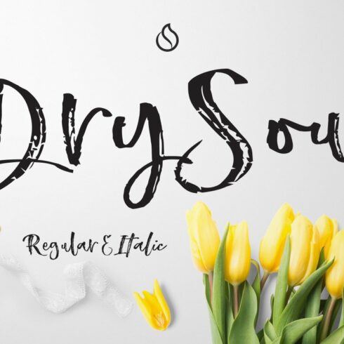 Dry Soul Script cover image.