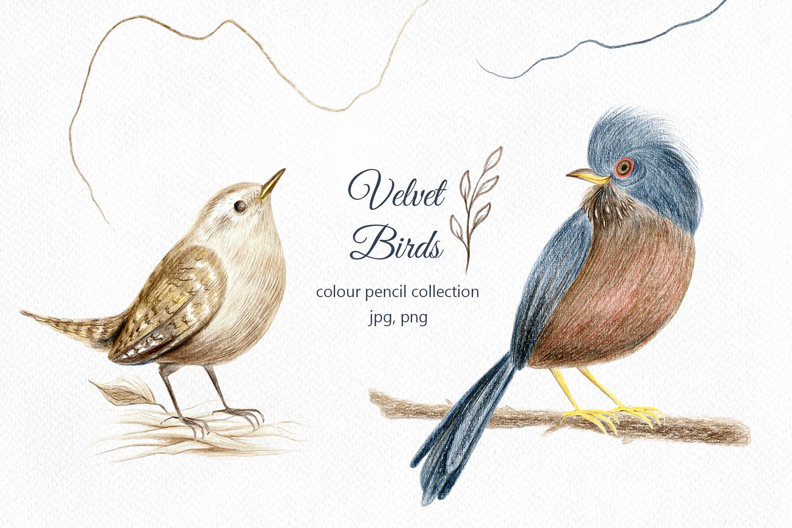 Velvet Birds - color pencil clipart cover image.