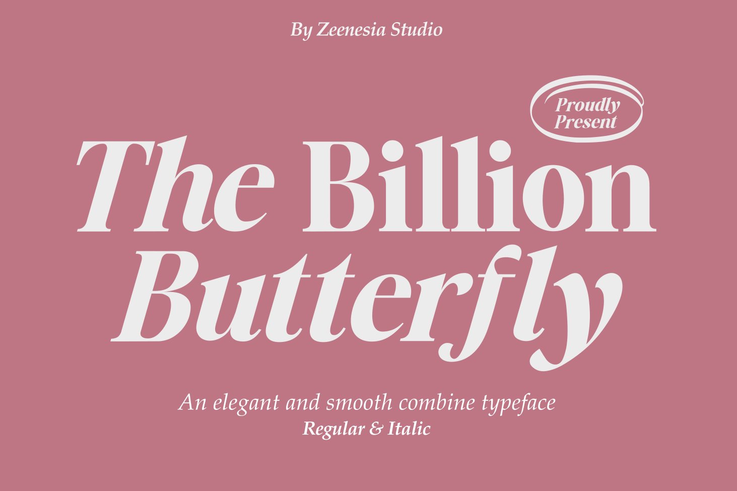 The Billion Butterfly Serif preview image.