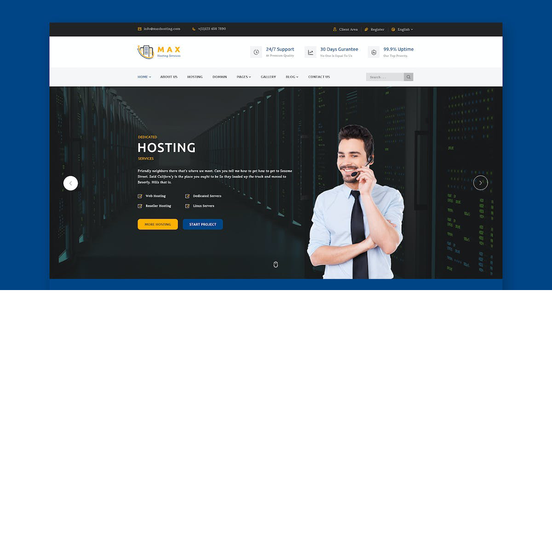 Domain Hosting Website Template preview image.